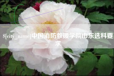 黄山中国消防救援学院山东选科要求