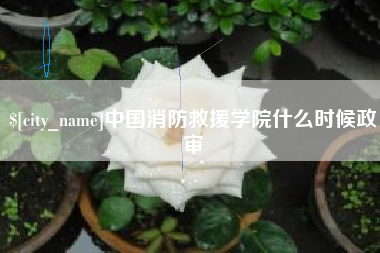 黄山中国消防救援学院什么时候政审