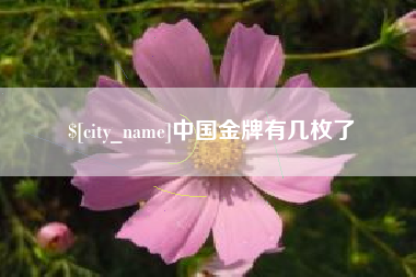 黄山中国金牌有几枚了
