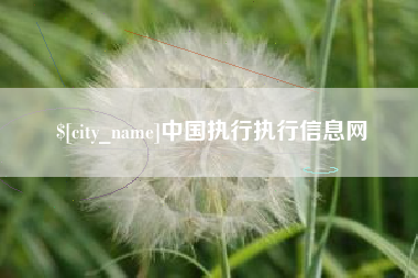 黄山中国执行执行信息网