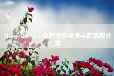 黄山2021中国消防救援学院录取分数
