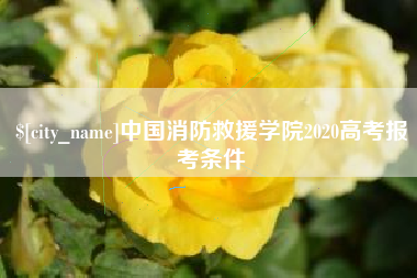 黄山中国消防救援学院2020高考报考条件