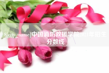 黄山中国消防救援学院2021年招生分数线