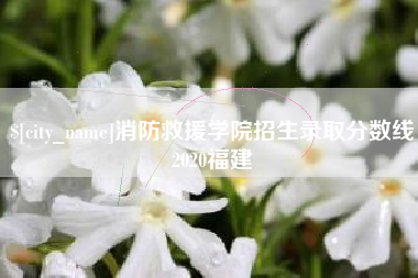 黄山消防救援学院招生录取分数线2020福建