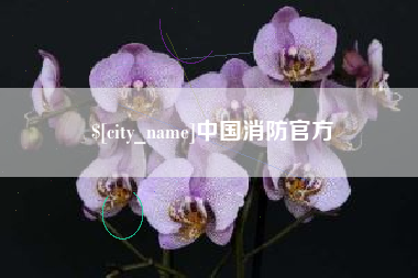 黄山中国消防官方