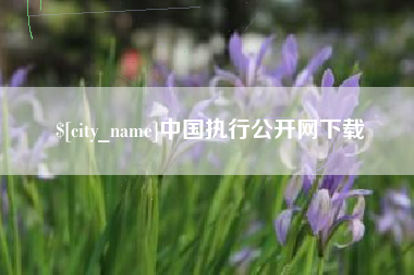 黄山中国执行公开网下载