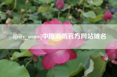 黄山中国消防官方网站域名