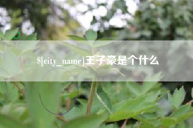 黄山王子豪是个什么