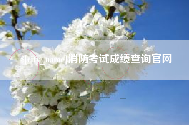 黄山消防考试成绩查询官网