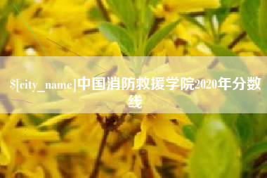 黄山中国消防救援学院2020年分数线