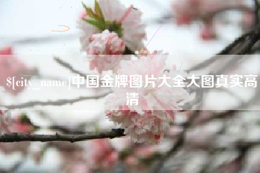 黄山中国金牌图片大全大图真实高清