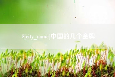 黄山中国的几个金牌