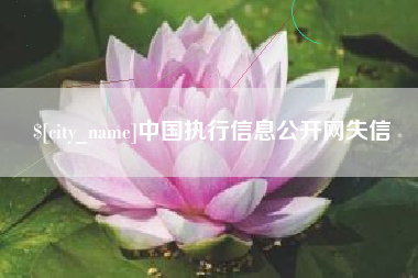 黄山中国执行信息公开网失信