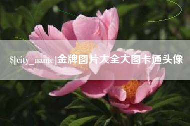黄山金牌图片大全大图卡通头像