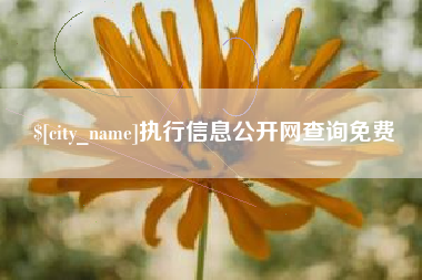 黄山执行信息公开网查询免费