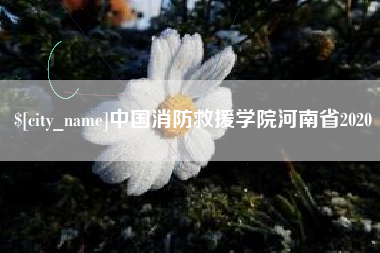 黄山中国消防救援学院河南省2020